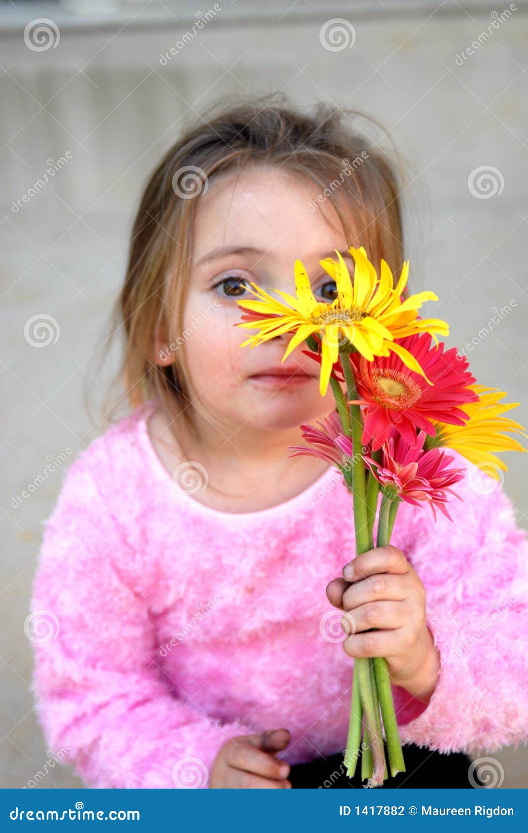 See My Flowers stock photo. Image of appealing, floral 1417882