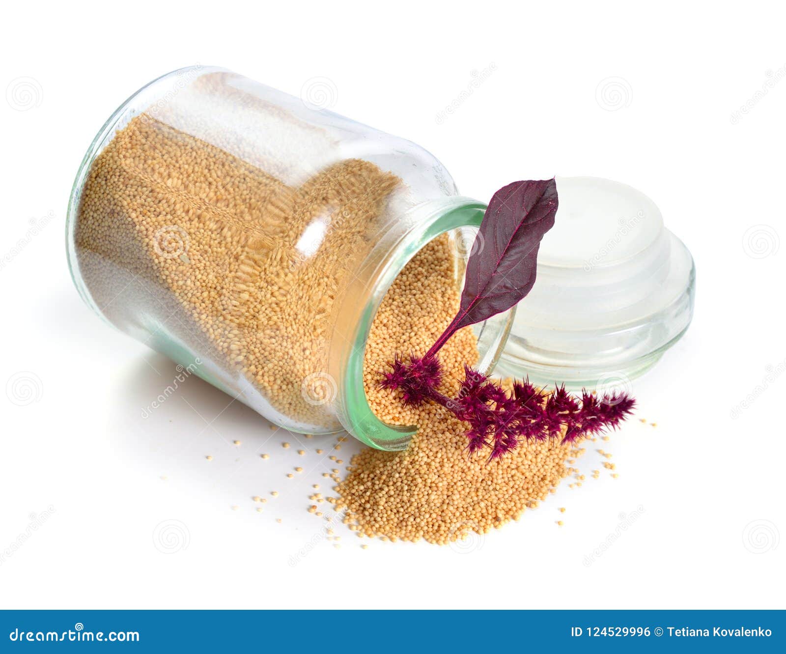 seed of amaranthus, collectively known as amaranth.