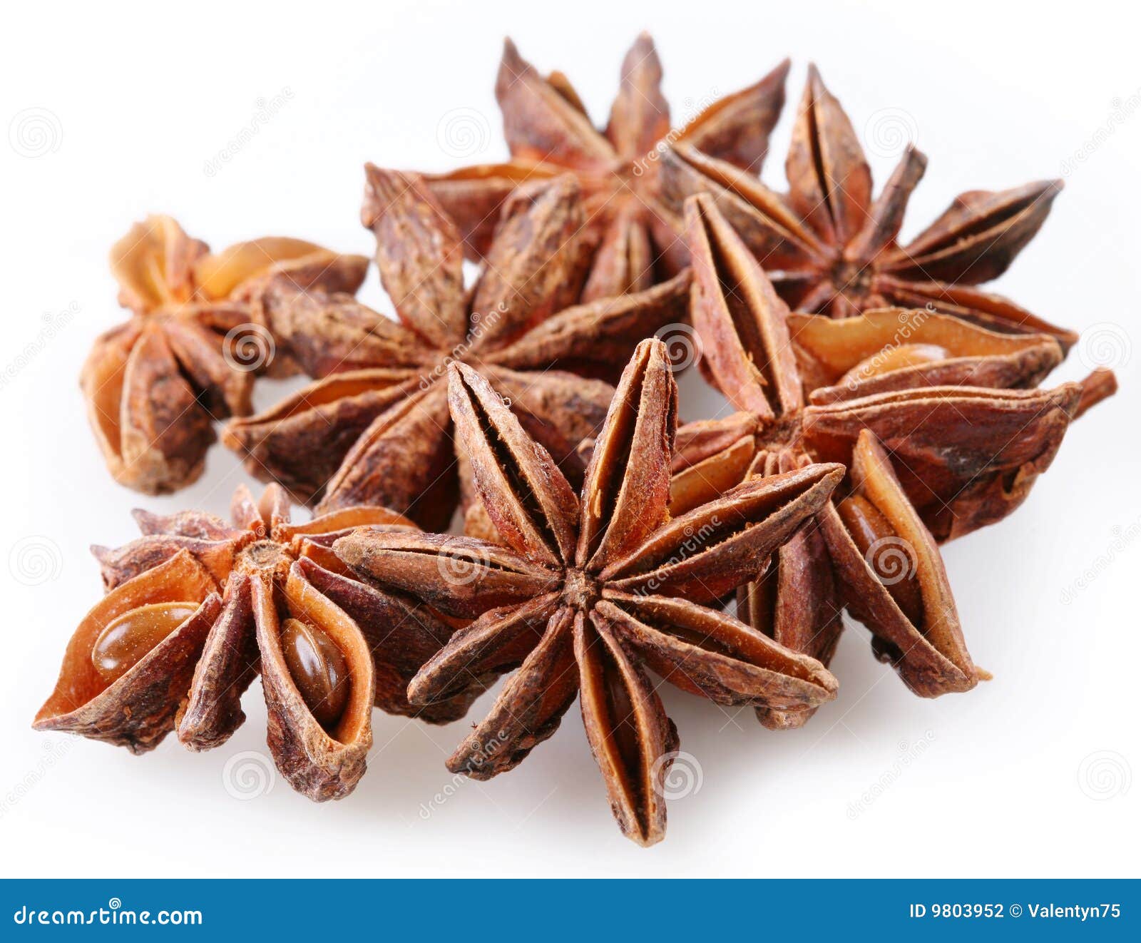Seed of anise stock photo. Image of star, herbe, badiana 9803952