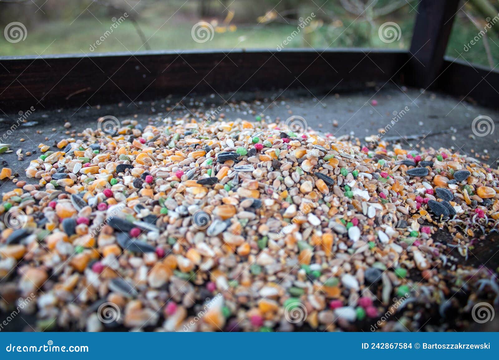Seed for Birds in the Feeder. Stock Photo Image of bird, birds 242867584