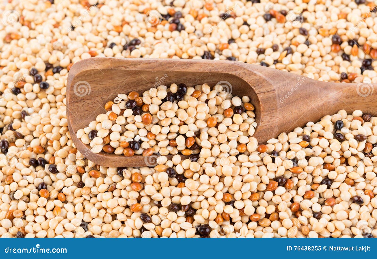 Seed Mixture Background. Pet Food for Birds Stock Image Image of
