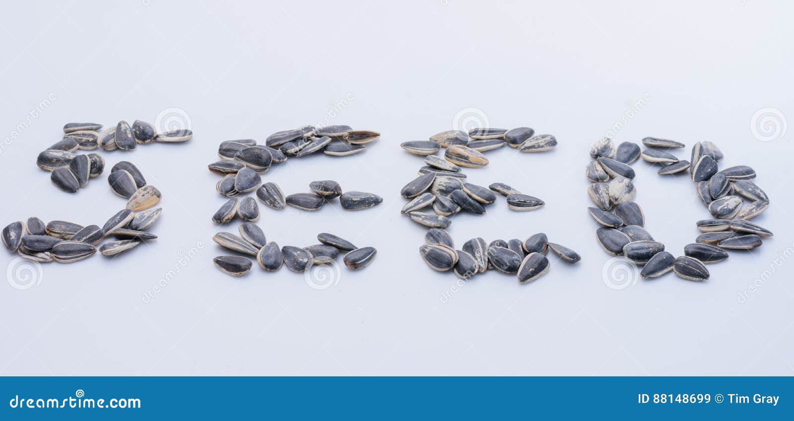 Seed Spelled with Sunflower Seeds Stock Image Image of word, springtime 88148699