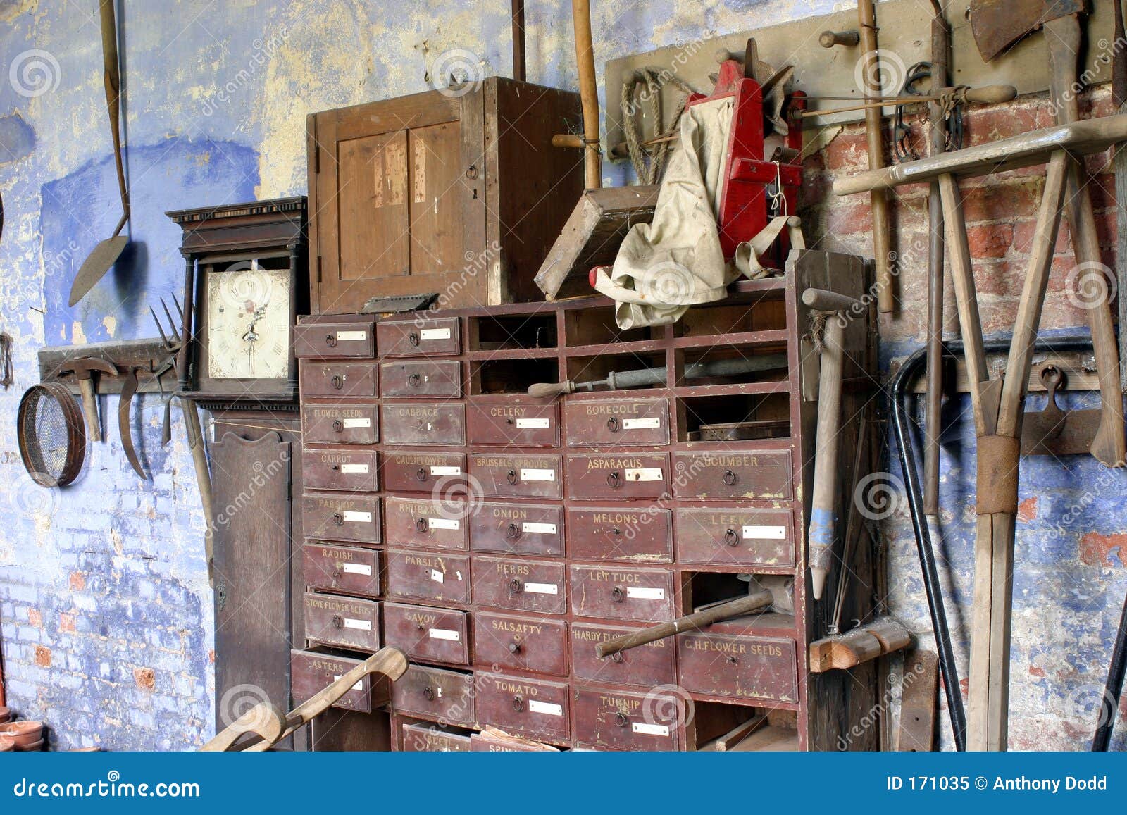 Seed Store stock image. Image of winning, vegetable, shovel 171035