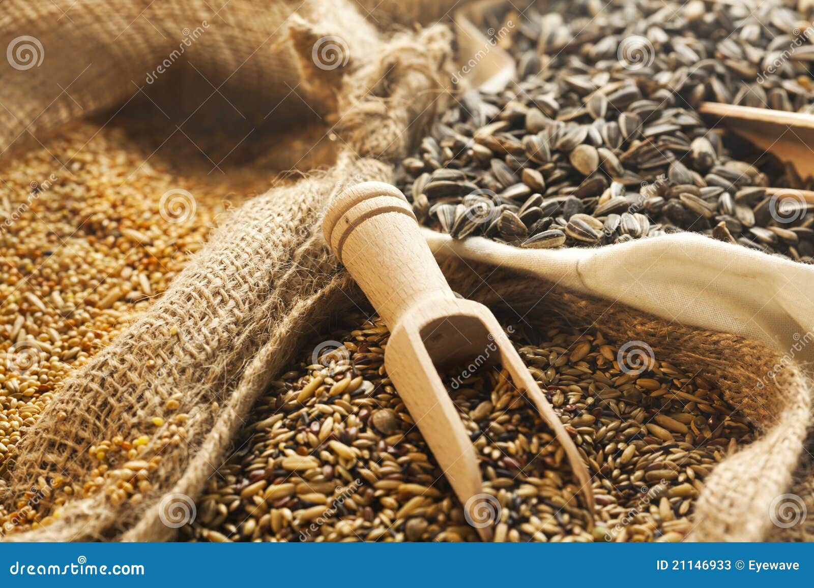 Seeds and Grains in Burlap Bags Stock Image Image of burlap