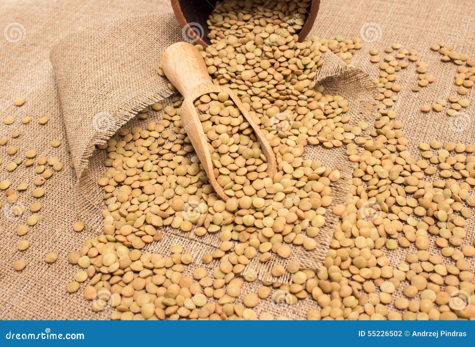 The Seeds of Green Lentils on Canvas Stock Photo Image of unhealthy