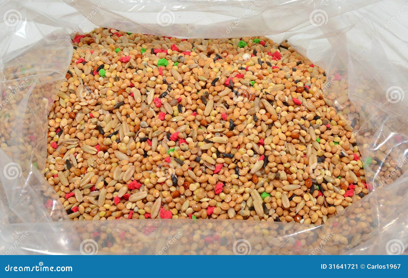 Seeds for parakeets stock image. Image of nutrition, millet 31641721