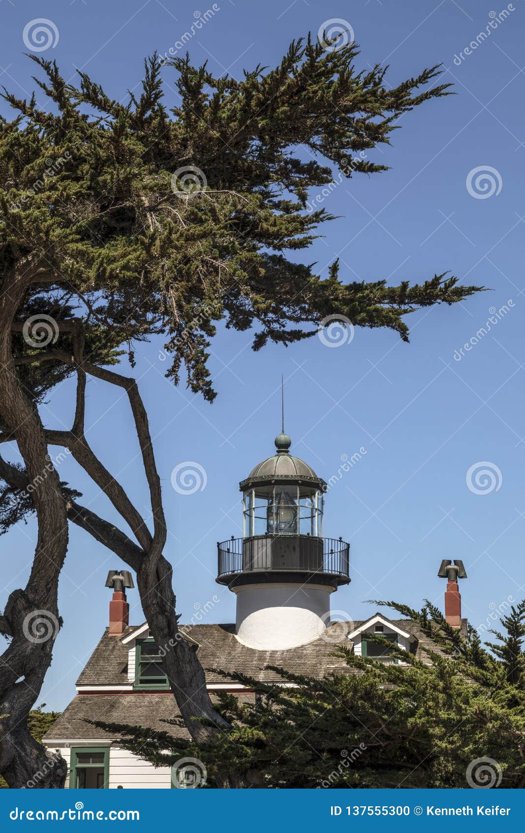 point pinos lighthouse and monterey cypress - california