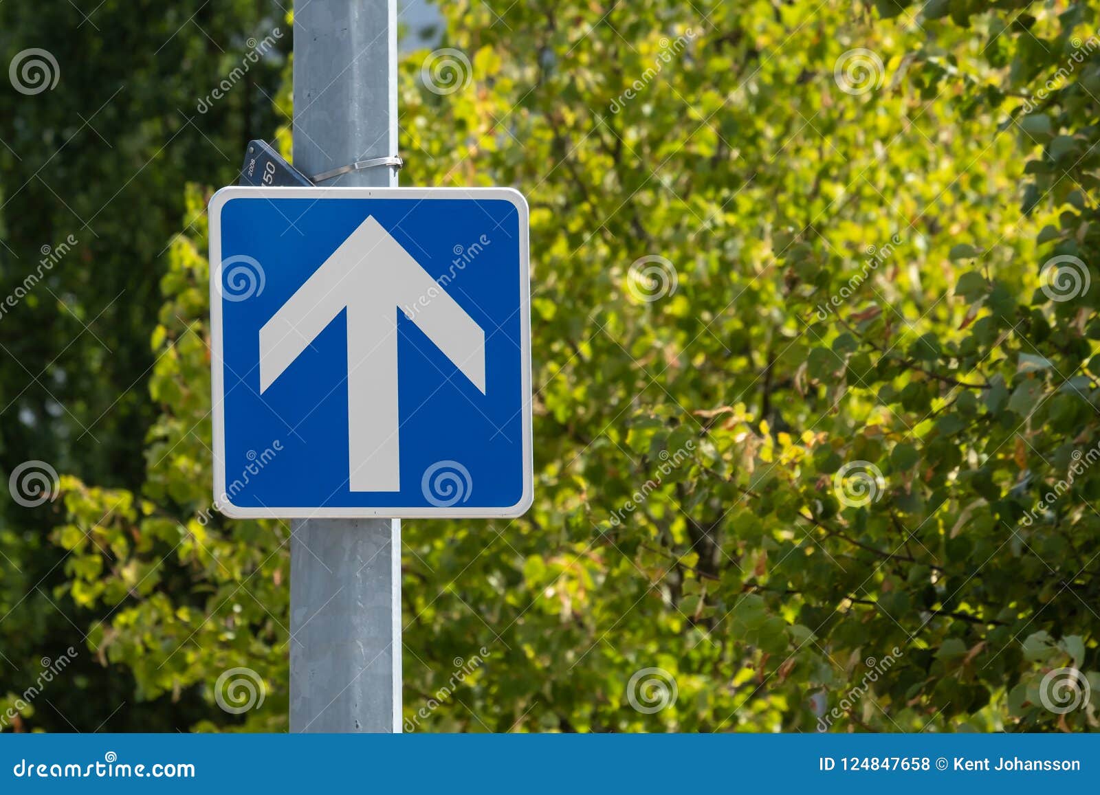 Indica Una Strada A Senso Unico Segnale Stradale Della Strada a Senso Unico Fotografia Stock - Immagine