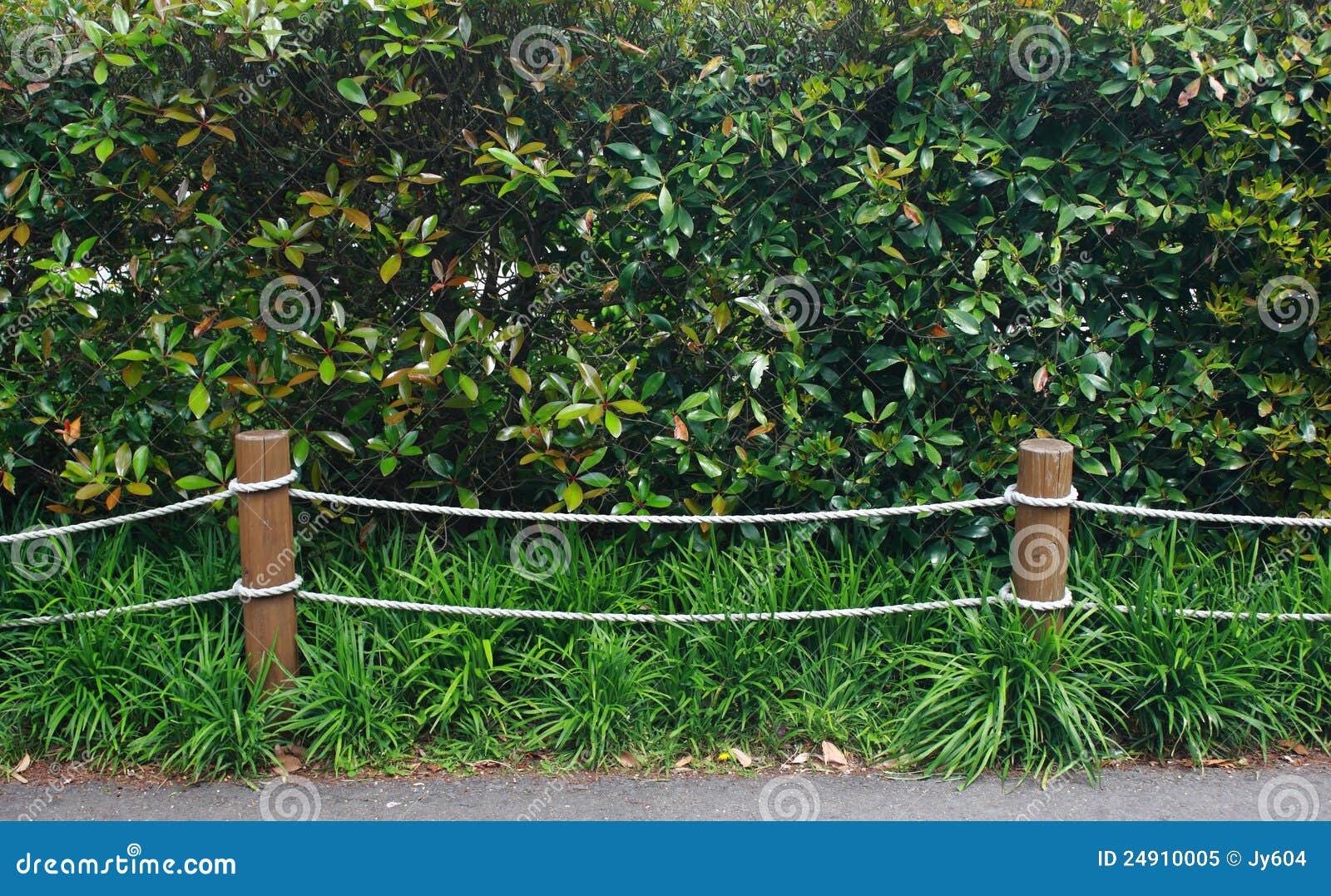 Seilzaun im Garten stockbild. Bild von wiese, umgebung