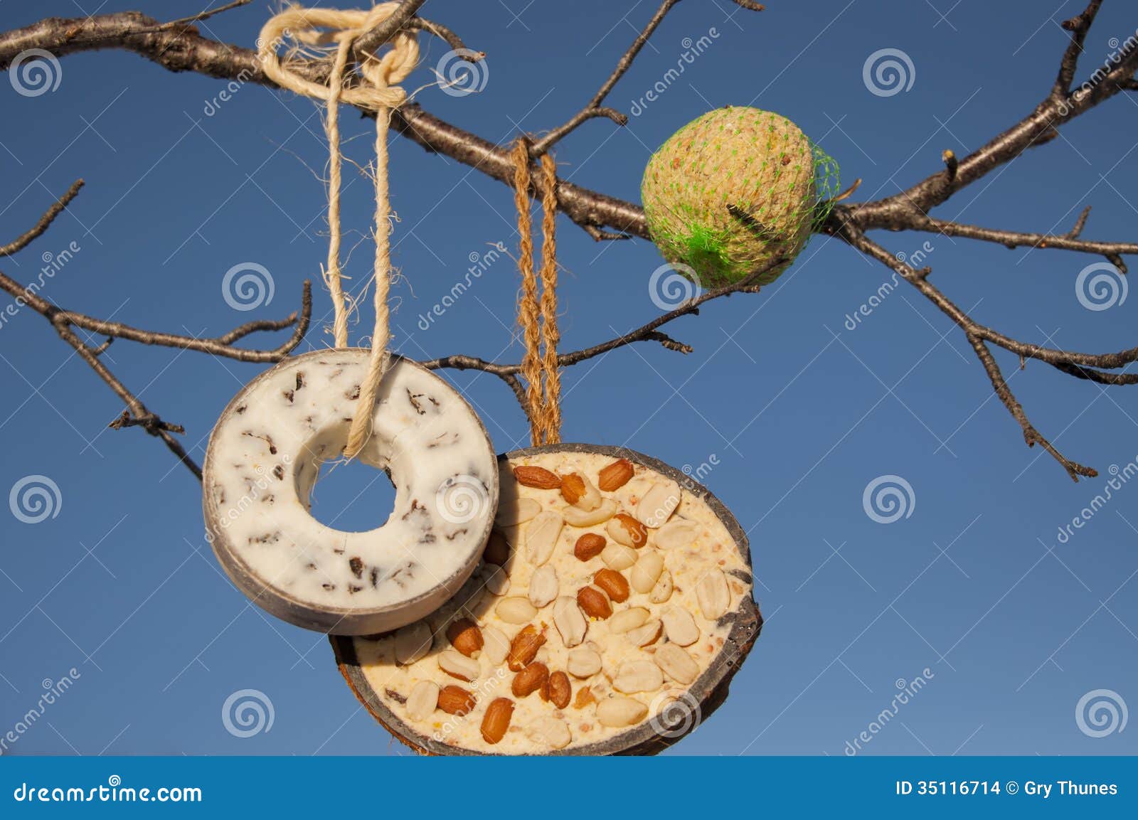 Selection of bird food stock photo. Image of survive 35116714