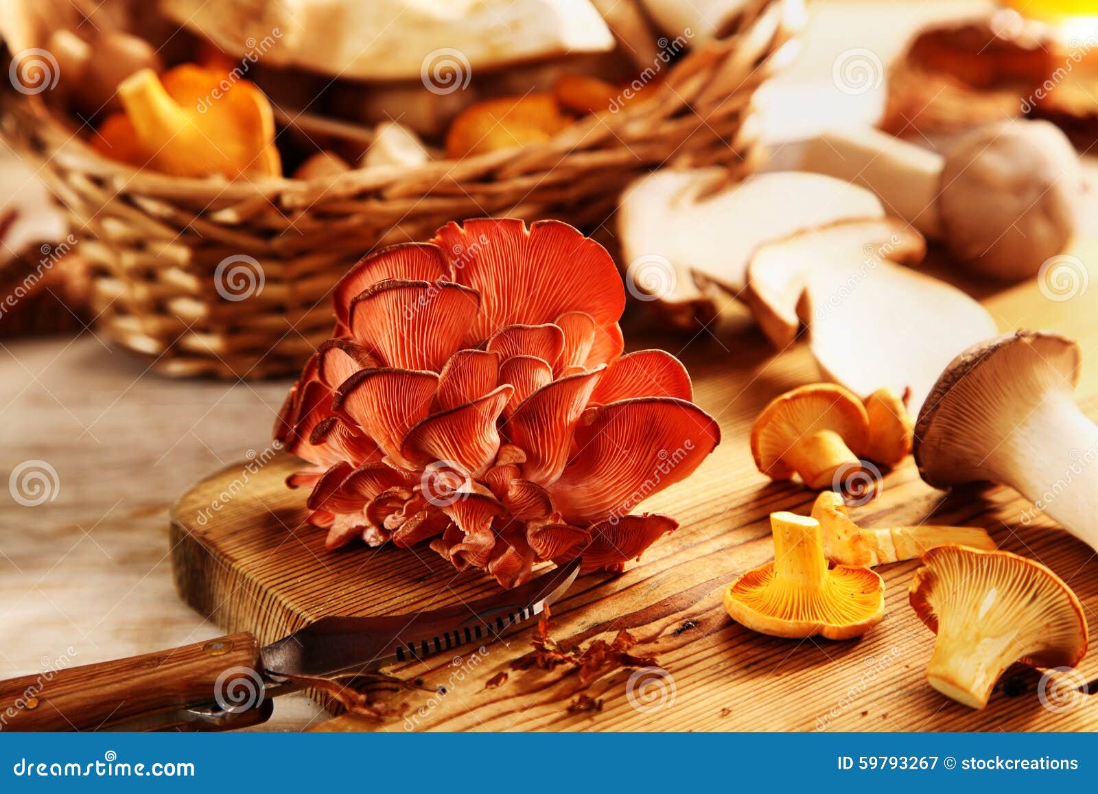 mushrooms ресторан москва официальный сайт меню