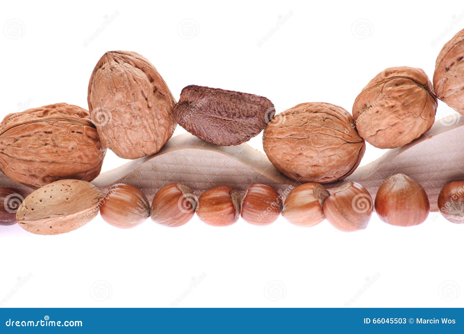 Selection of Various Nuts Almonds, Brazil Nut, Walnuts, Hazelnut on a
