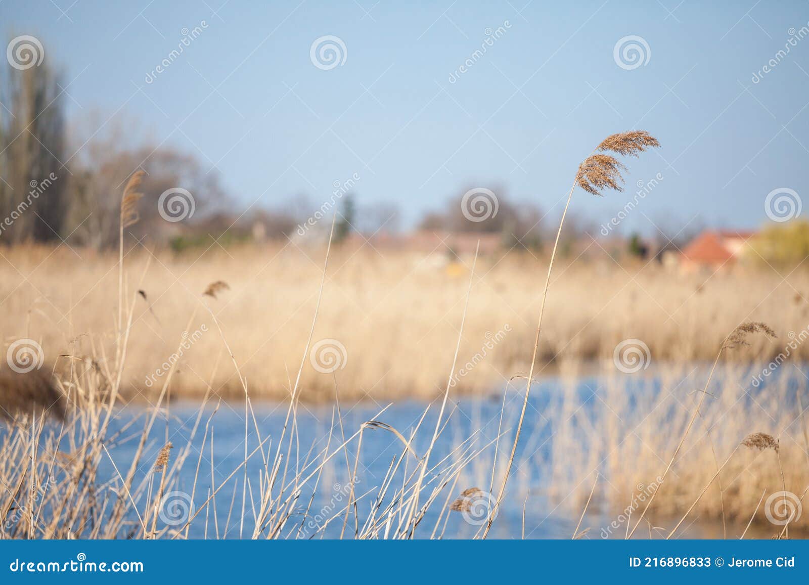 immature Couple Caught in Serbia