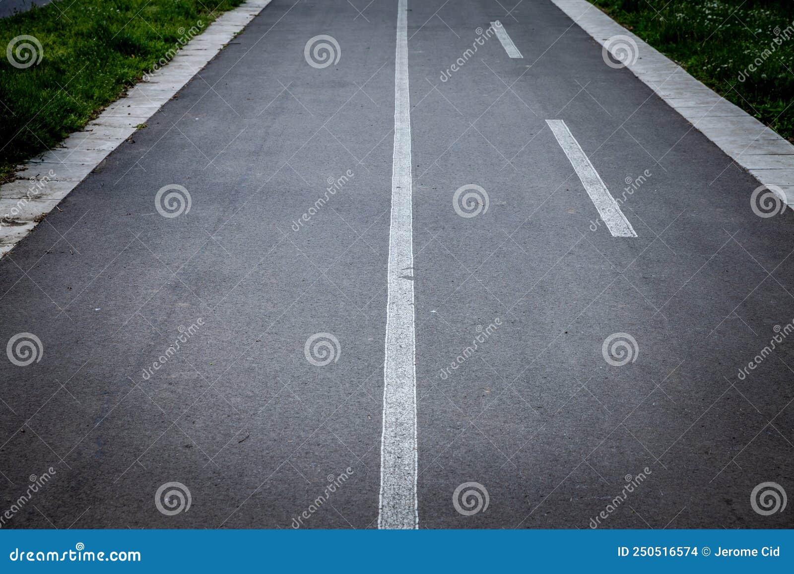 selective blur on white road markings indicating the presence of a bicycle lane, made of black asphalt, ed for bikers,