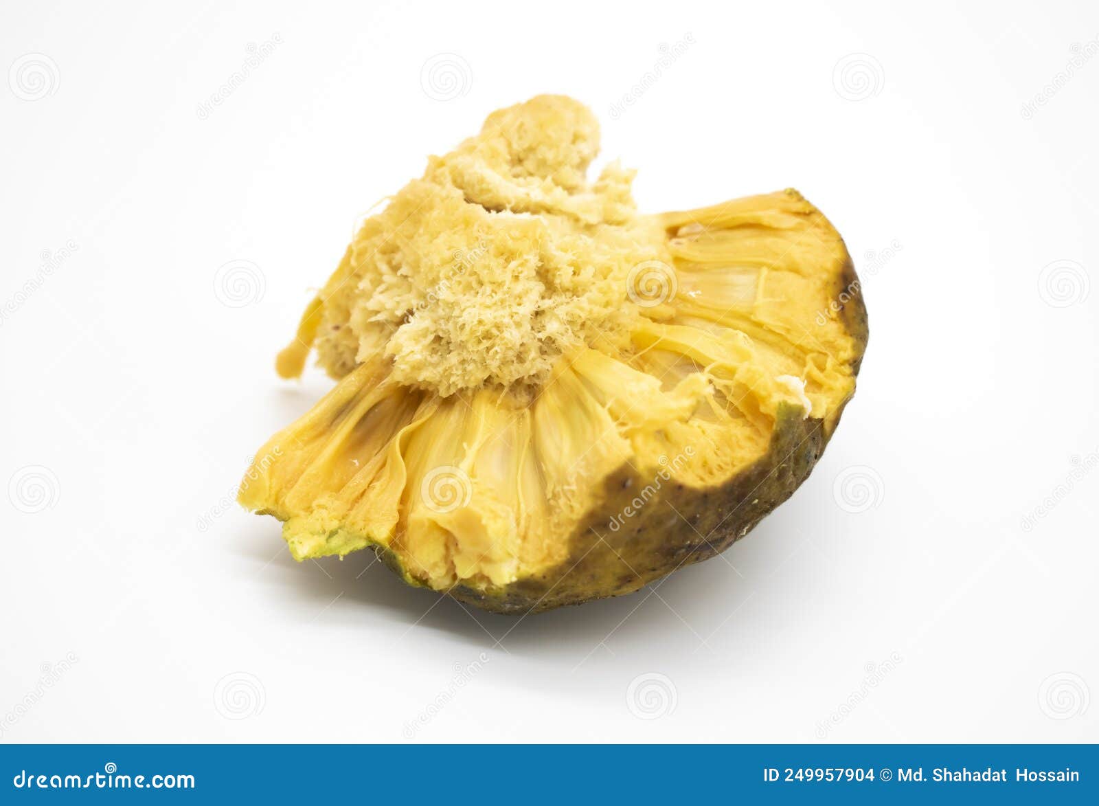 selective focus, artocarpus lacucha fruit or monkey fruit, or monkey jack or barhar isolate on white