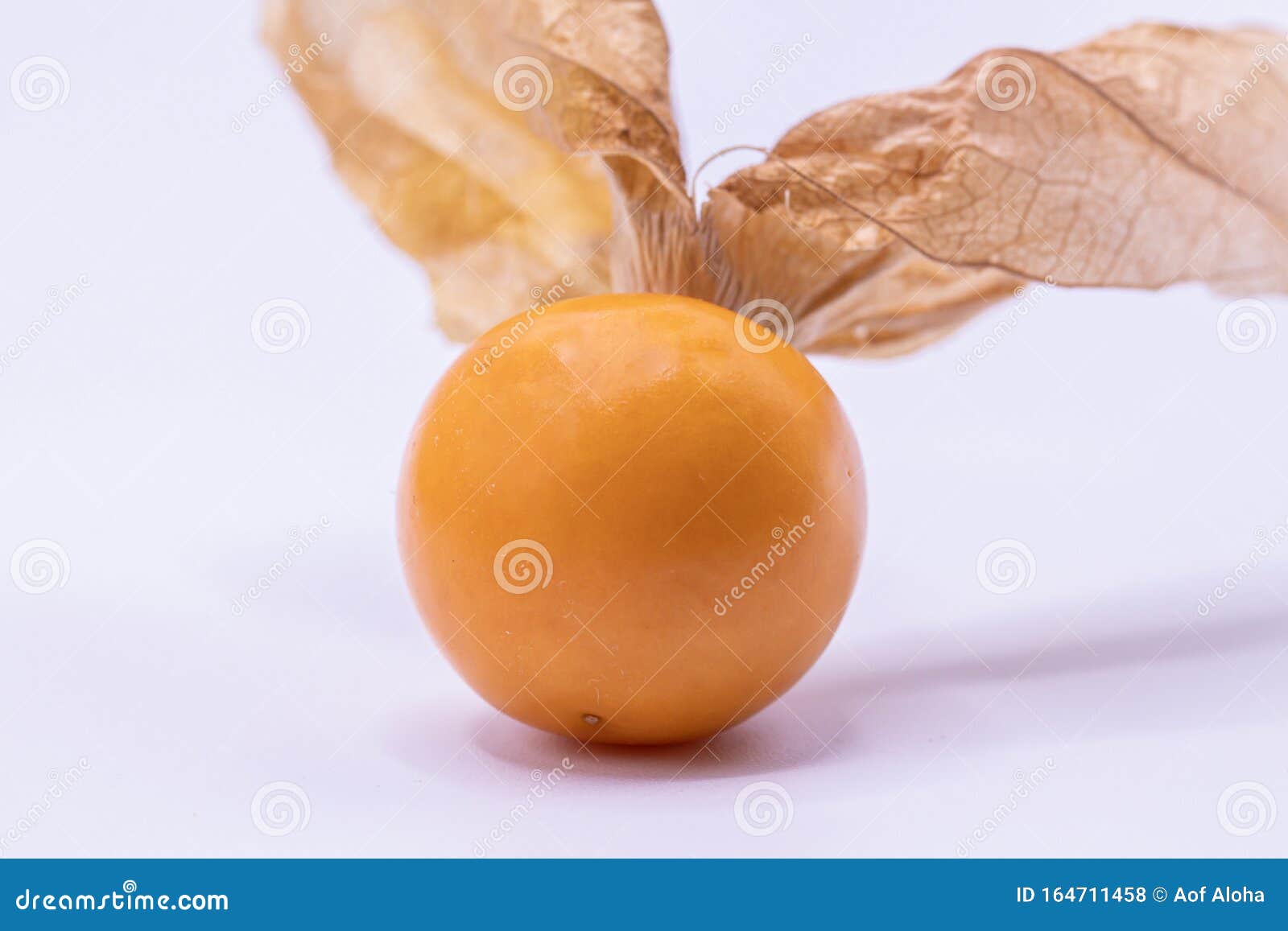 selective focus  close up cape gooseberry fruits physalis peruviana on white background.