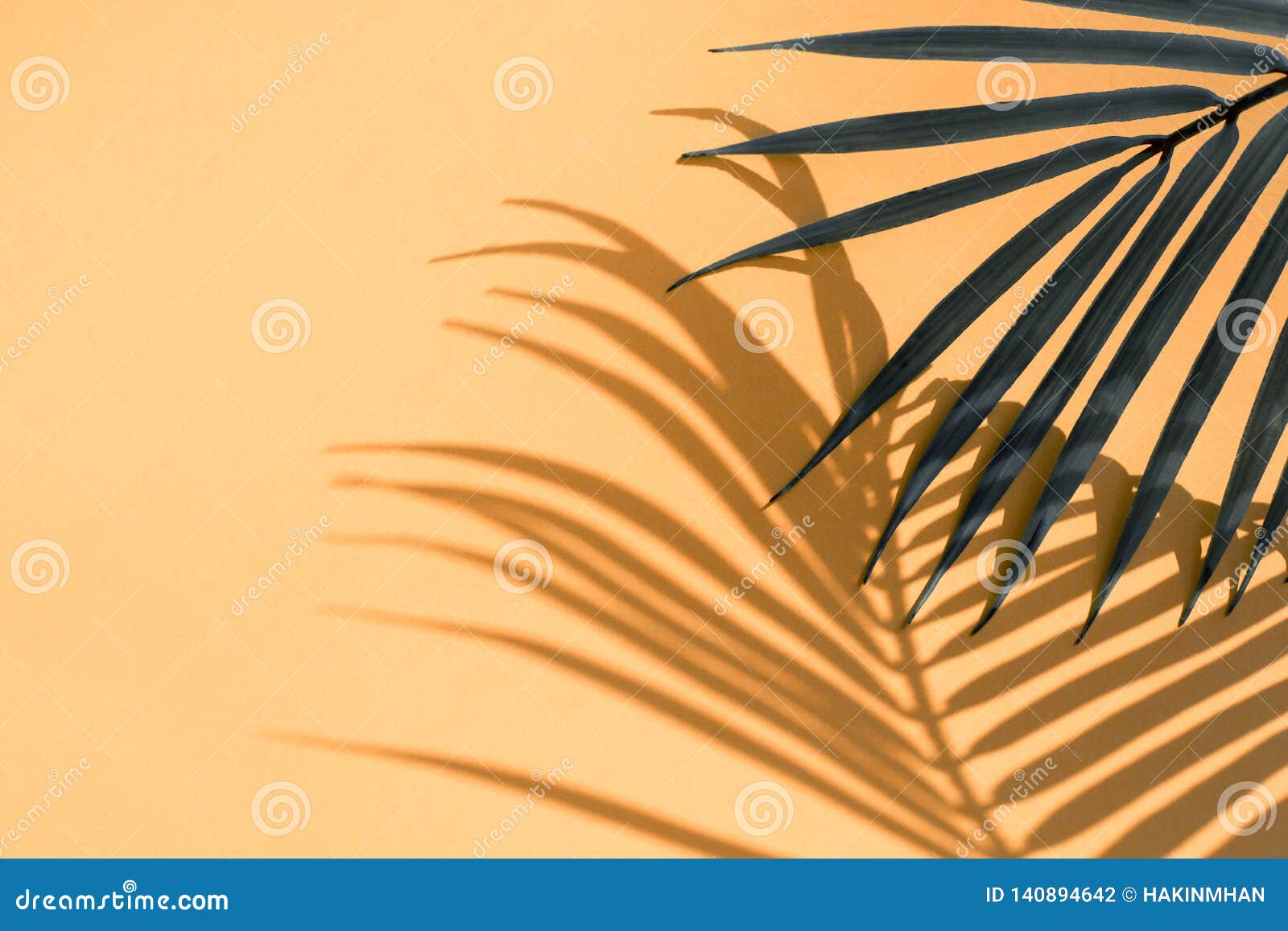 Тени от пальм текст. Тень от пальмы. Тень от пальмы на стене. Пальмовые листья бежевые. Пальмовые листья тень.