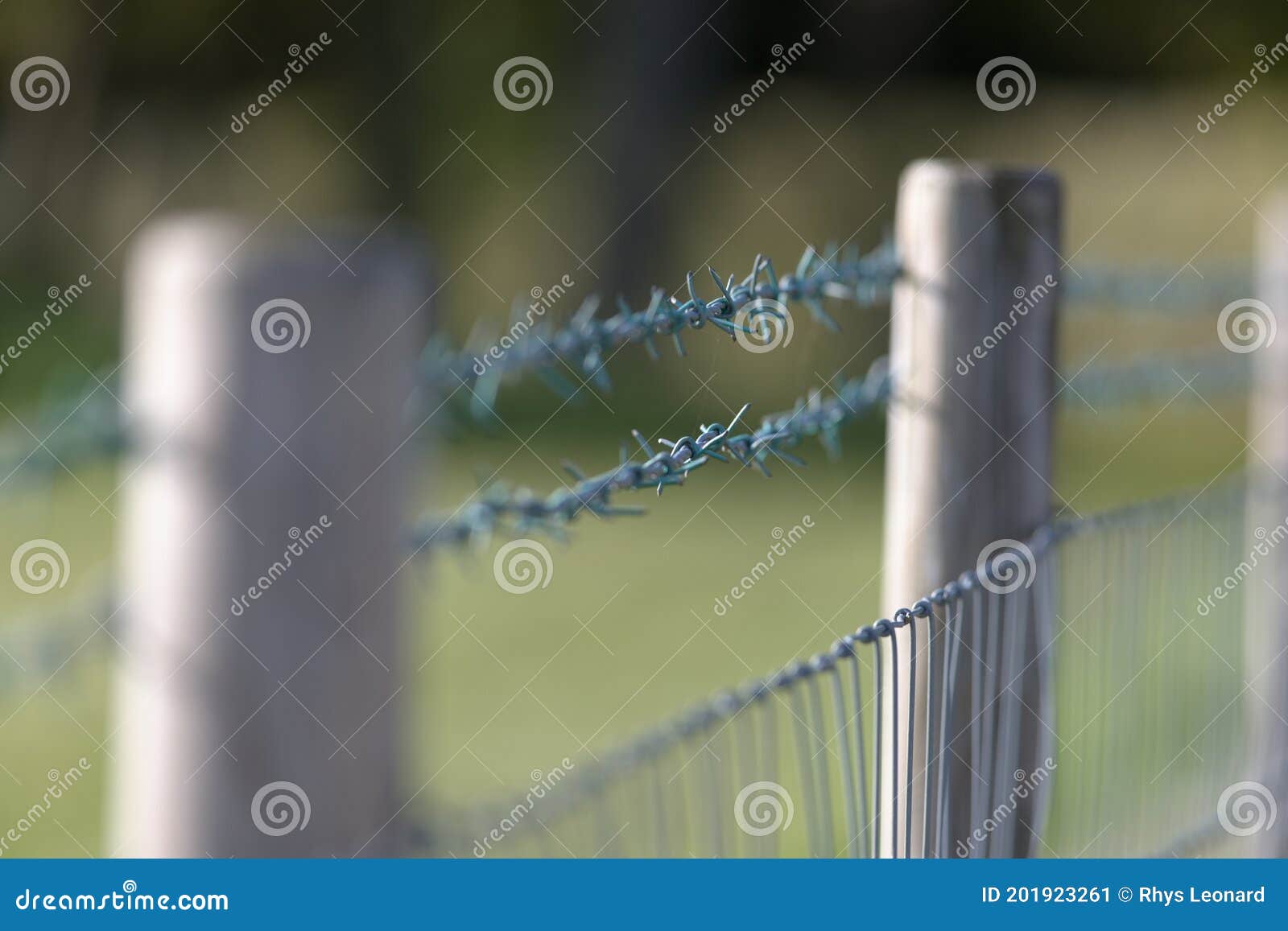 Selective Focus Image of Freshly Made Double Barbed Wire Fence Stock
