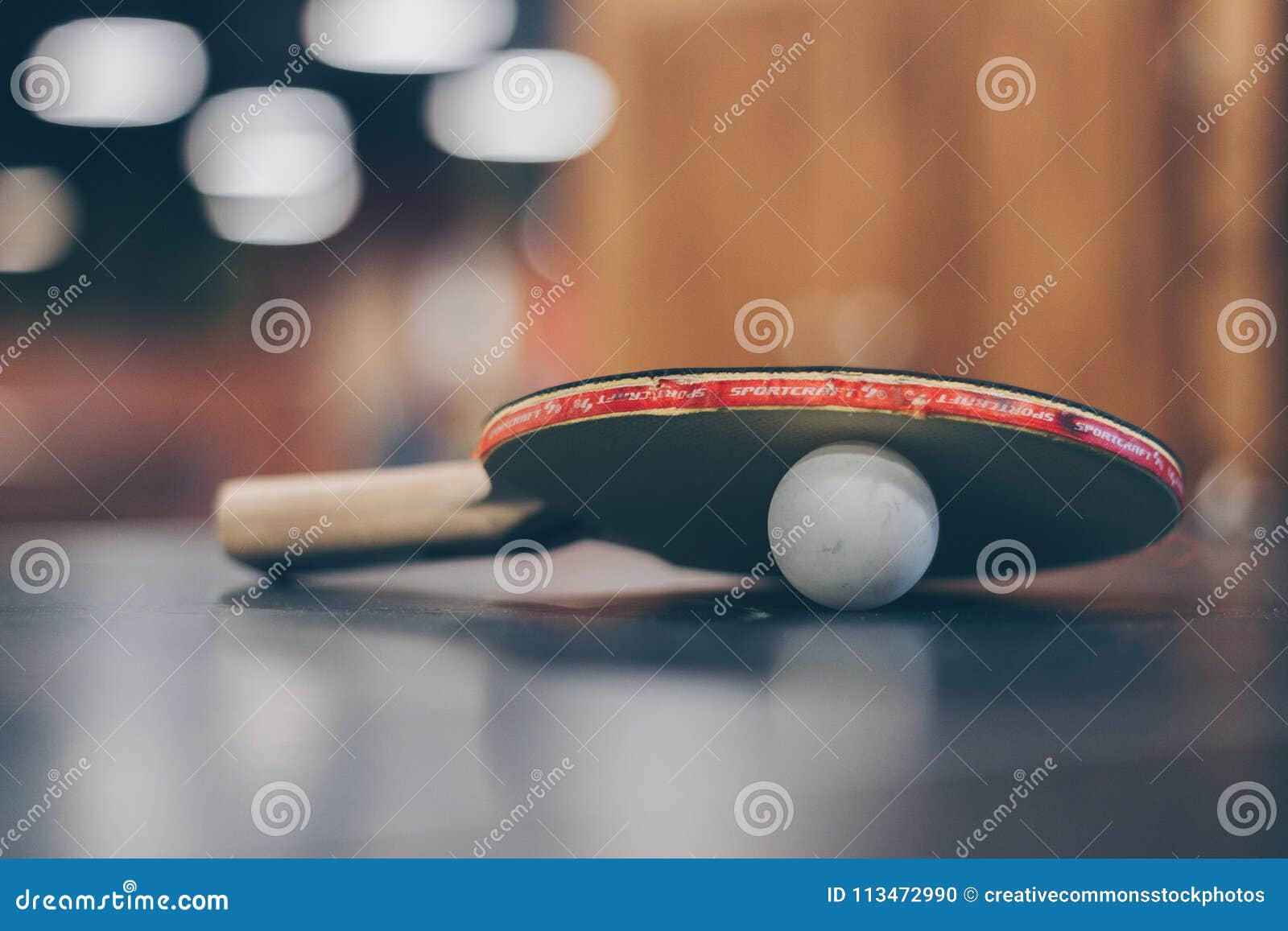 table tennis pro full version download table tennis pro full version download