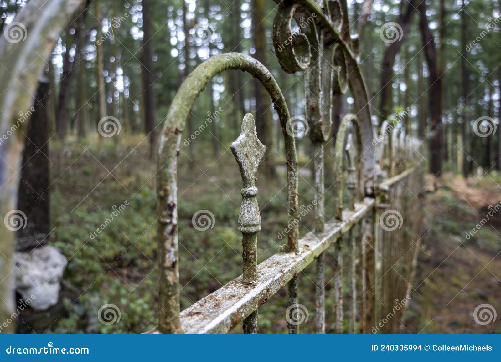 Selective Focus on a Rusted, Wrought Iron Fence in a Large, Forested