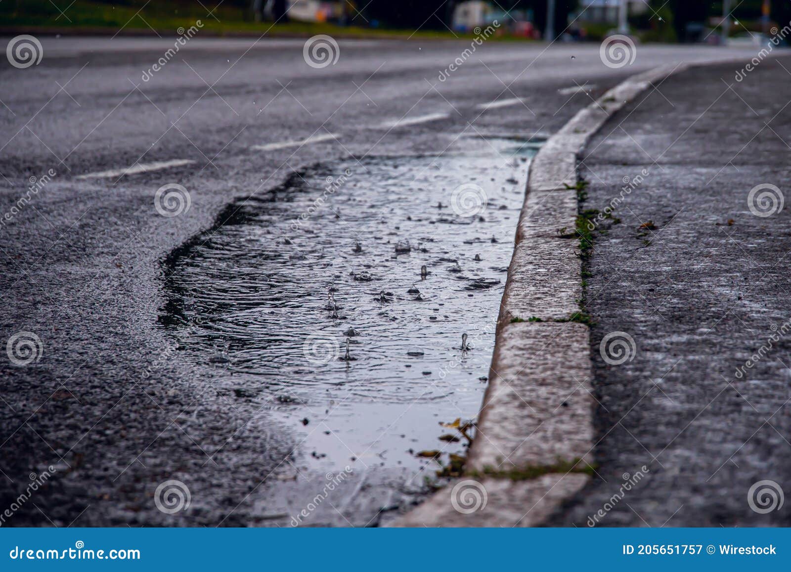 Selective Focus Shot of Raindrops Falling into a Puddle by the Sidewalk
