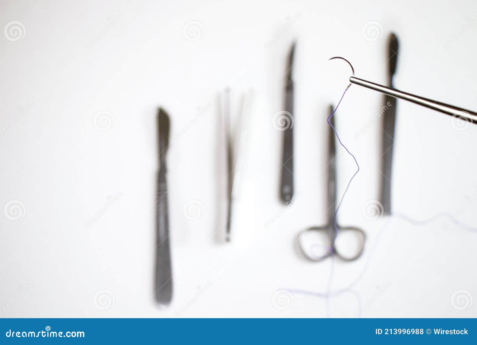 Selective Focus Shot of a Surgical Suture Stock Photo Image of