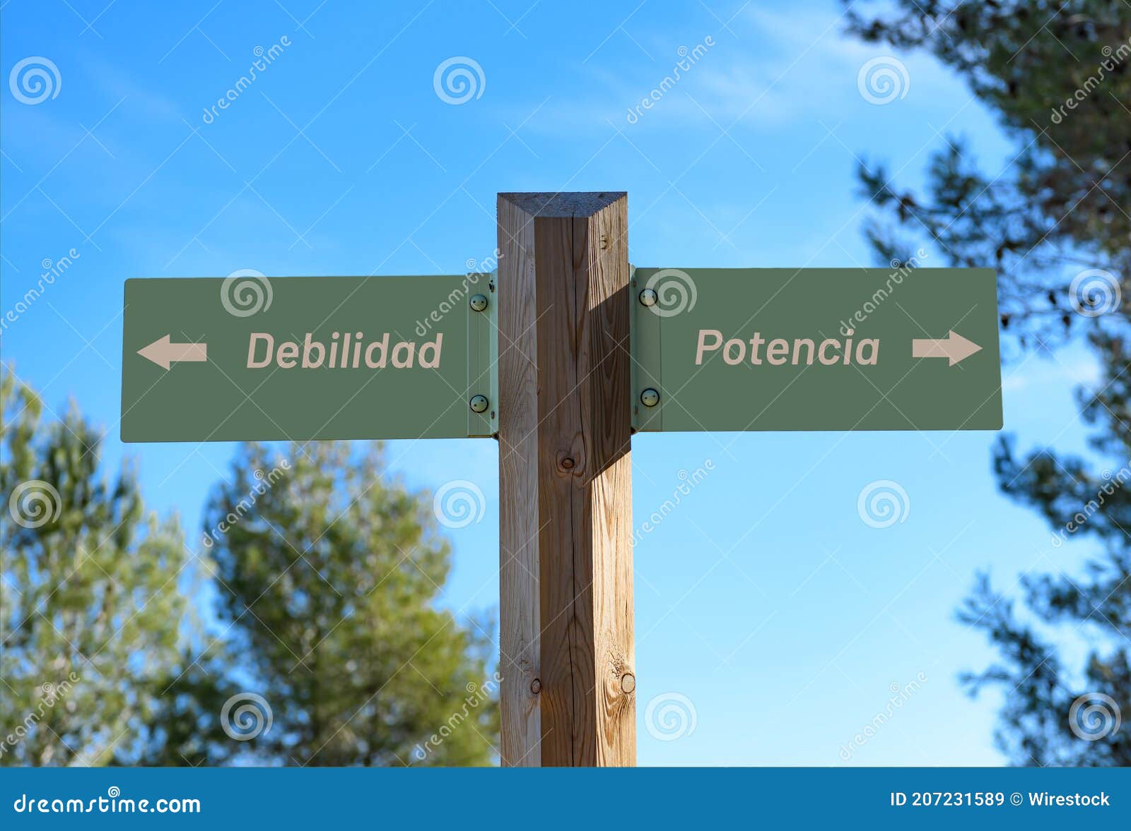 selective focus shot of a way signpost with weakness and power writings in spanish