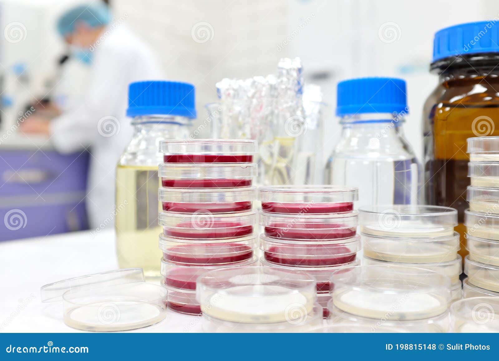 Selective Focus of Stack of Petri Dish with Agar and a Scientist
