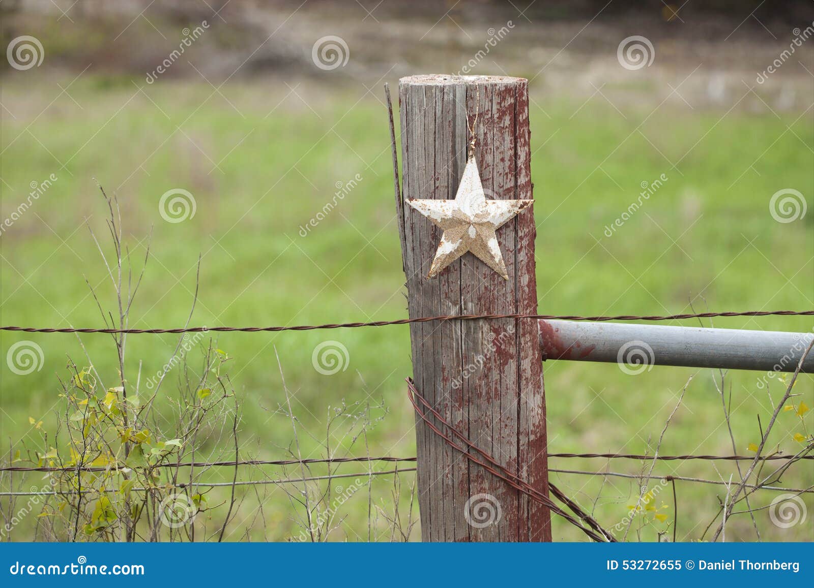 selective focus view of grungy star on old fence post in texas