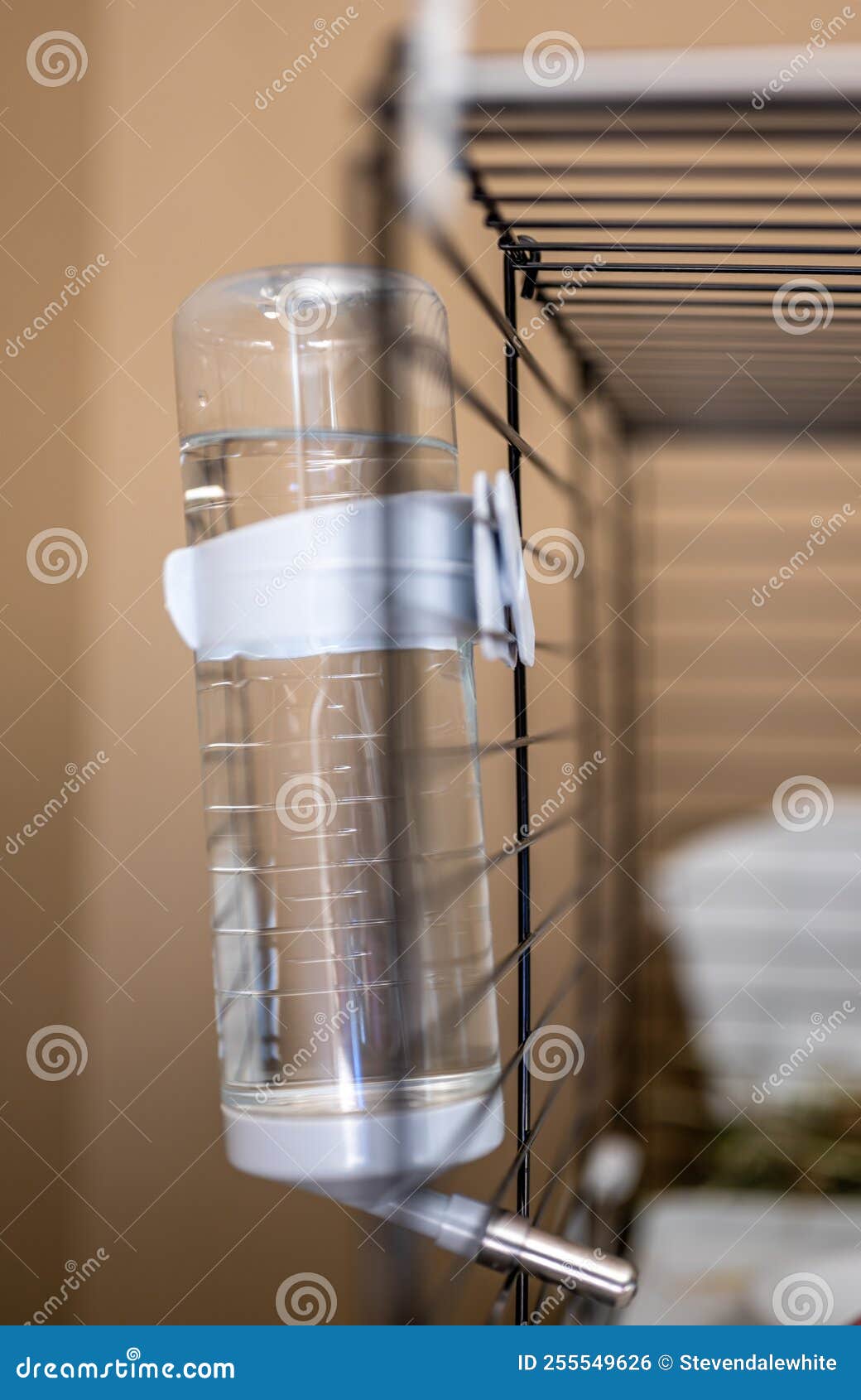 Focus bottle 2025 cage