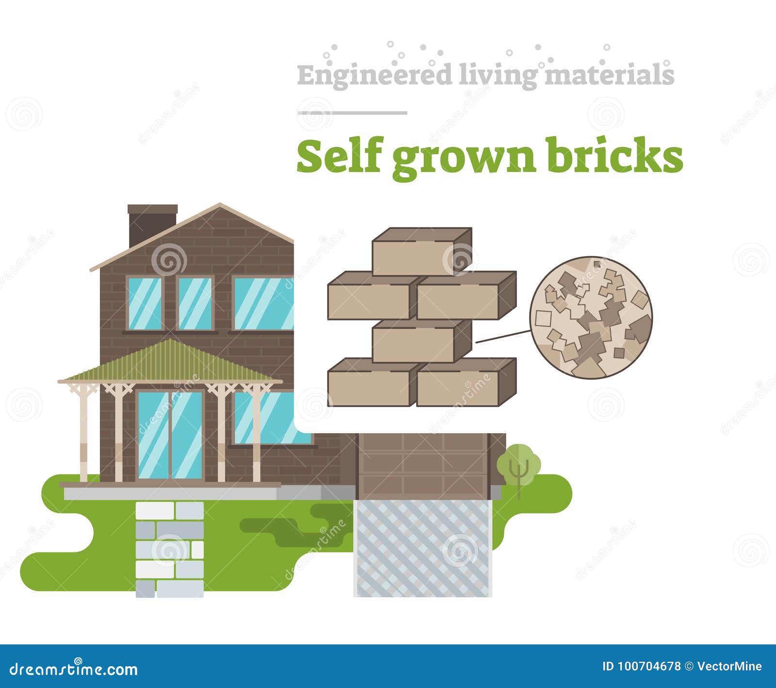 self grown bricks - engineered living material