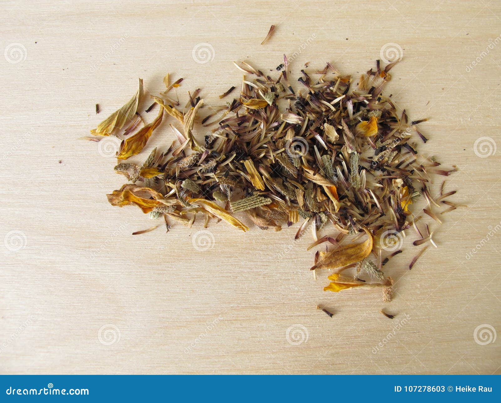 Self Harvested Seeds from Coneflowers Stock Image Image of