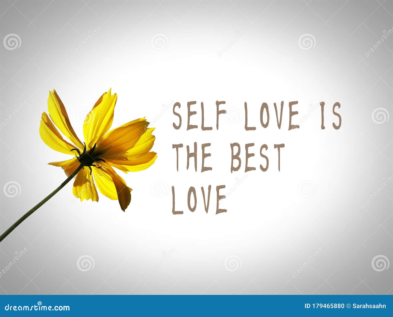 Love quotes self 120 Self
