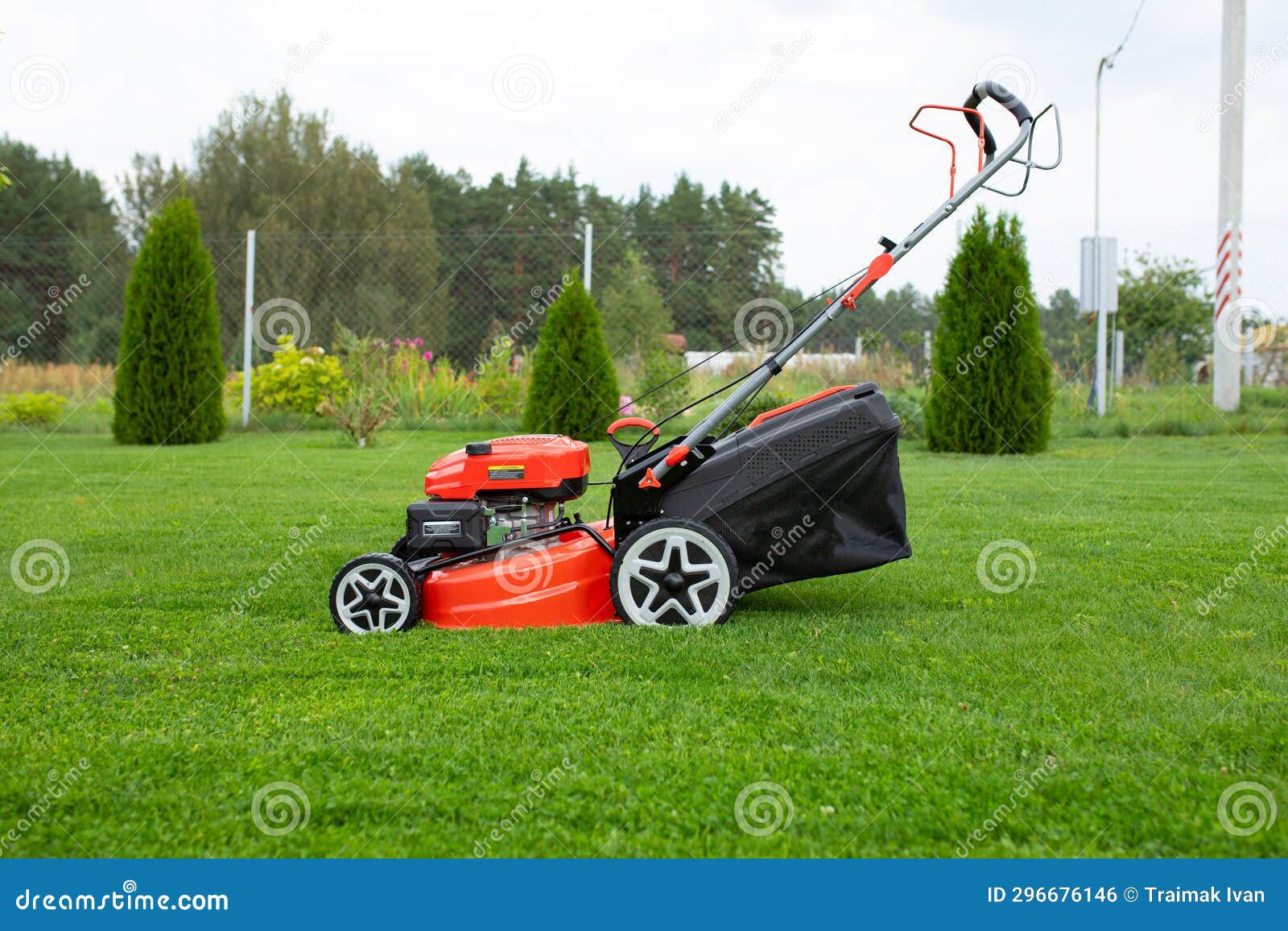 Selfpropelled Lawn Mower in the Garden Stock Photo Image of mowing, outdoors 296676146