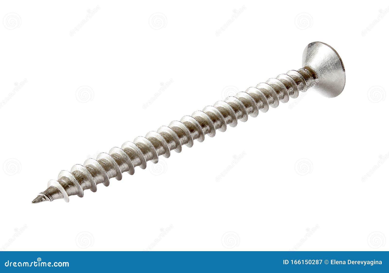 self tapping screw with thread one  on white background with clipping path. full depth of field