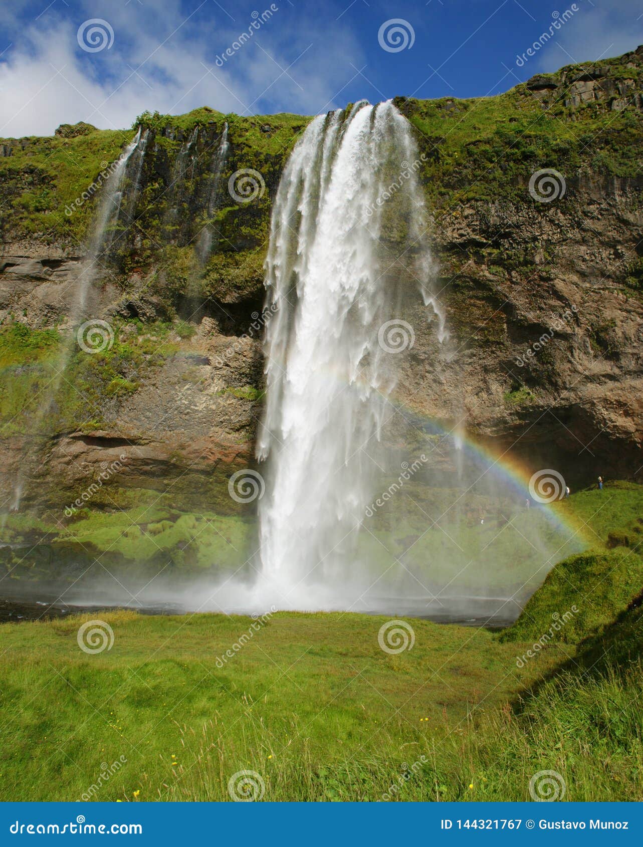 seljalandsfoss waterfall in the river seljalands a 60 meters 197 ft cascade, next to route 1 in the southern iceland. it is