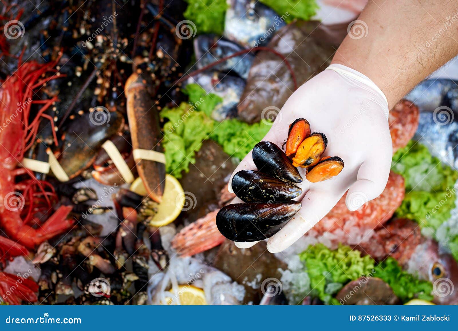 Seller Presenting Fresh Mussels Stock Image Image of food, seafood