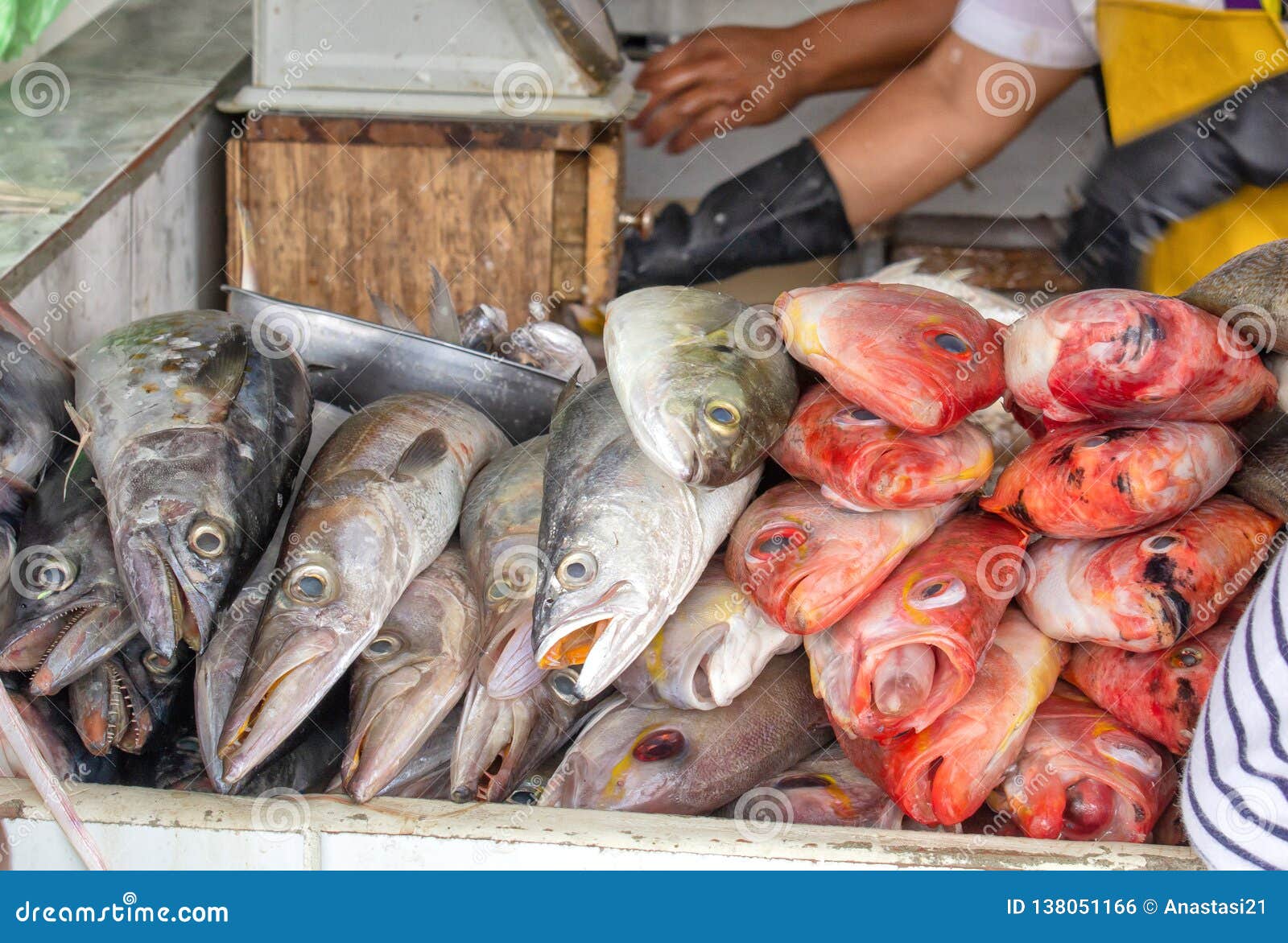 selling fish in the market. close-up. ecuador.