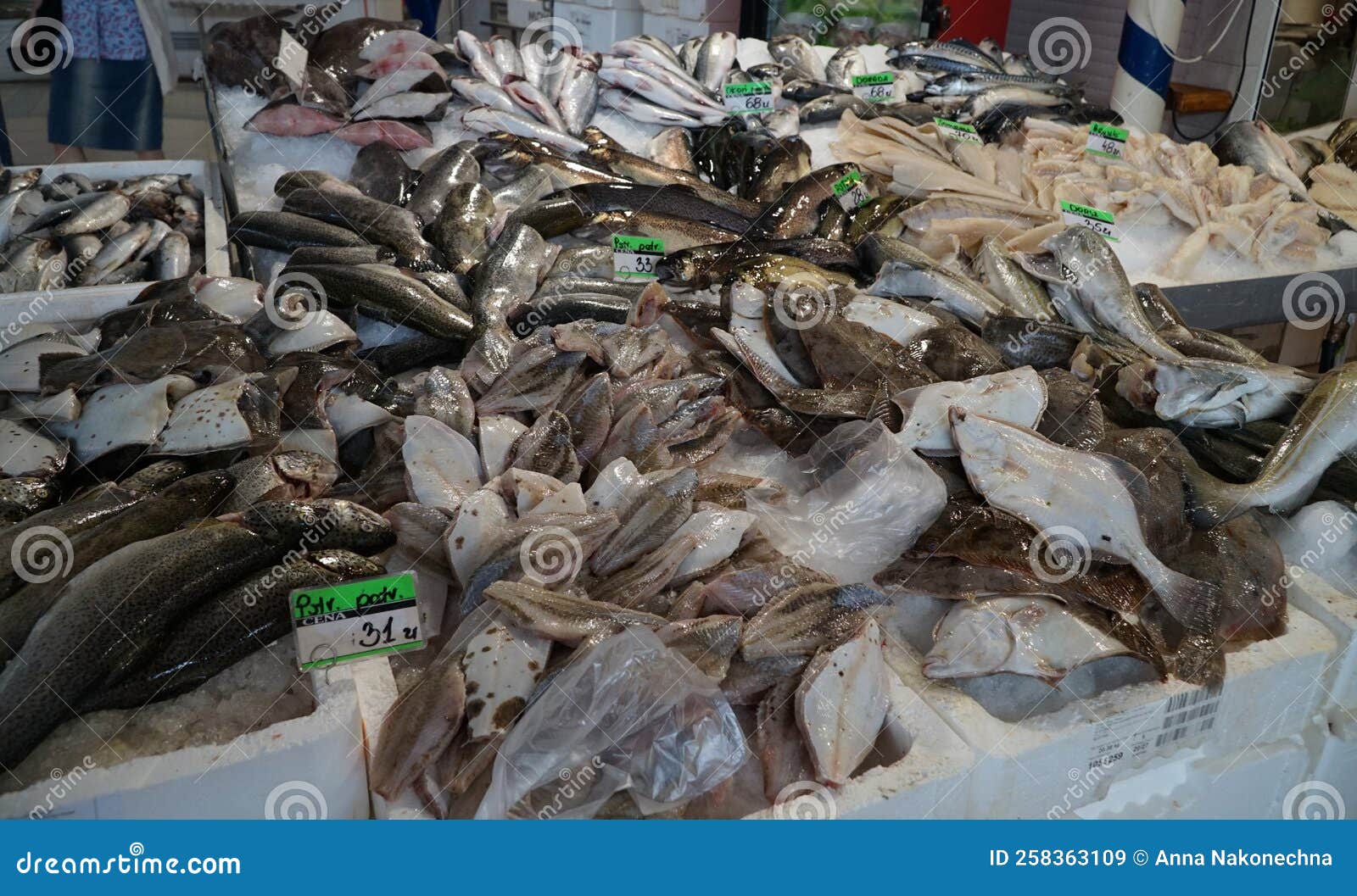 Selling Fresh Fish on a Market in Poland Stock Image Image of fish