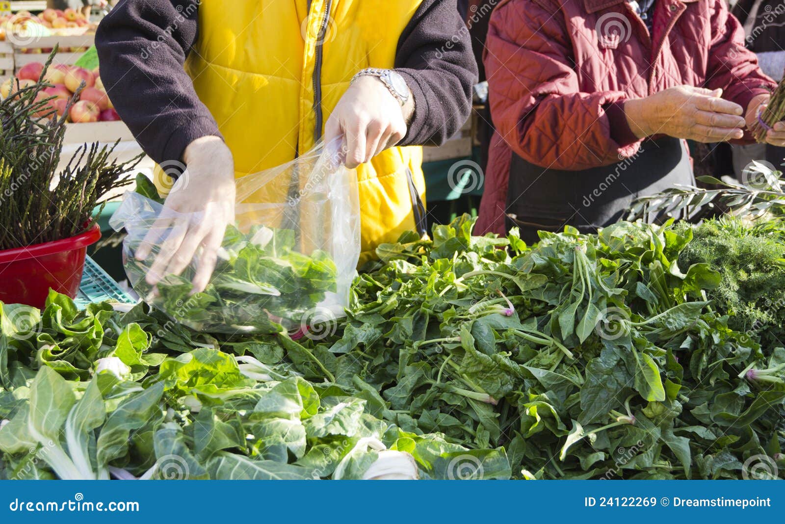 Selling Organic Vegetables on Market Stock Image Image of diet