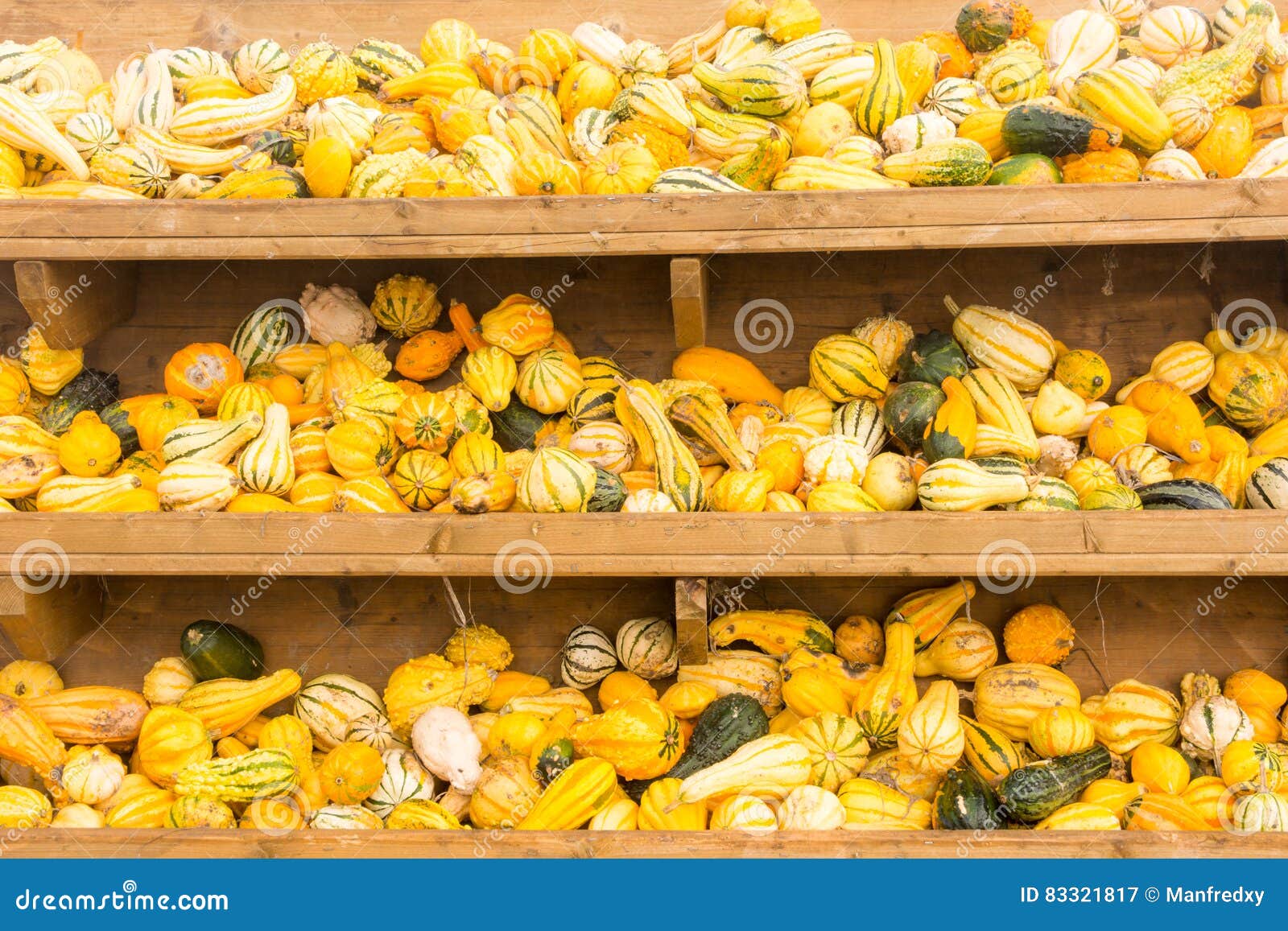 Selling Pumpkins at the Market Stock Image Image of heap, agricultural 83321817