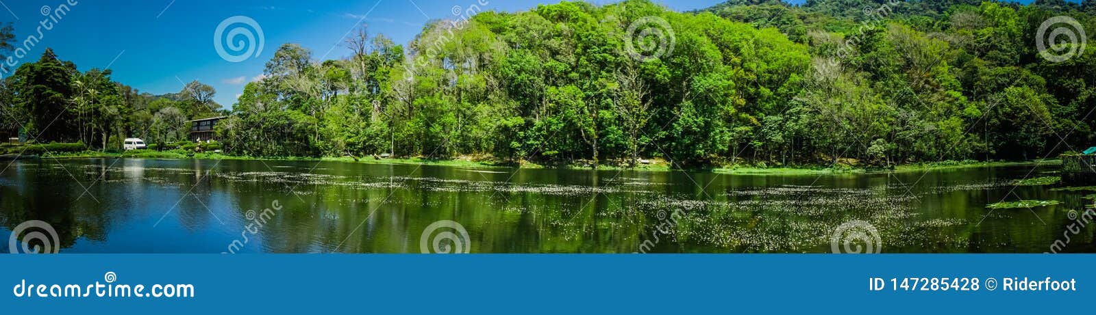 selva negra in matagalpa, lake and trees in the central mountain area of nicaragua