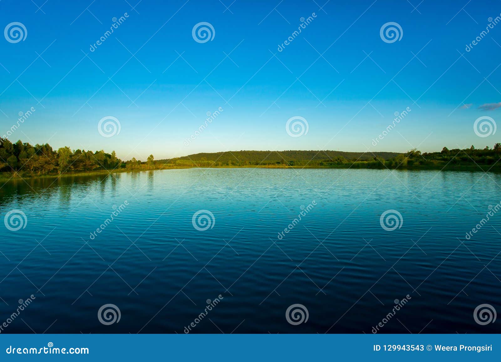 Selva Tropical, Reflexión, Riverbank, área Del árbol, Clima Tropical Imagen de archivo Imagen