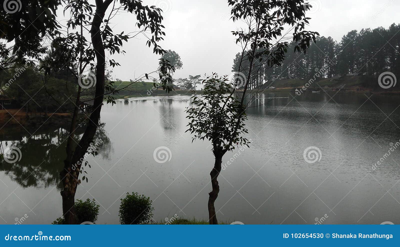 sembuwatta lake, elkaduwa estate, sri lanka
