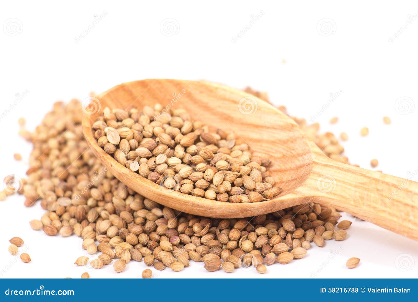 Radyé Lafyèv, Eryngium Foetidum | Bio Stratège - Foto 5