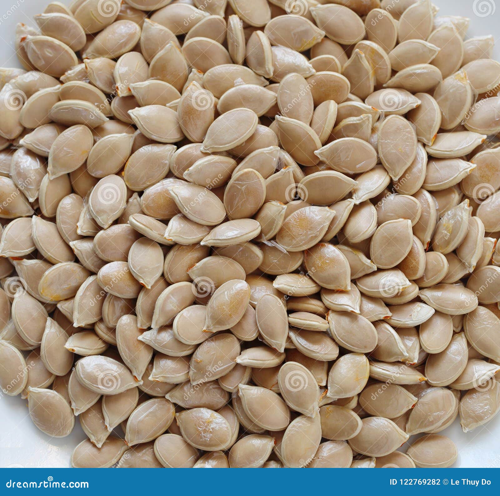 Semi Di Zucca Giganti - 25 Pezzi Per Coltivare Zucche Enormi Da Record - Foto 3