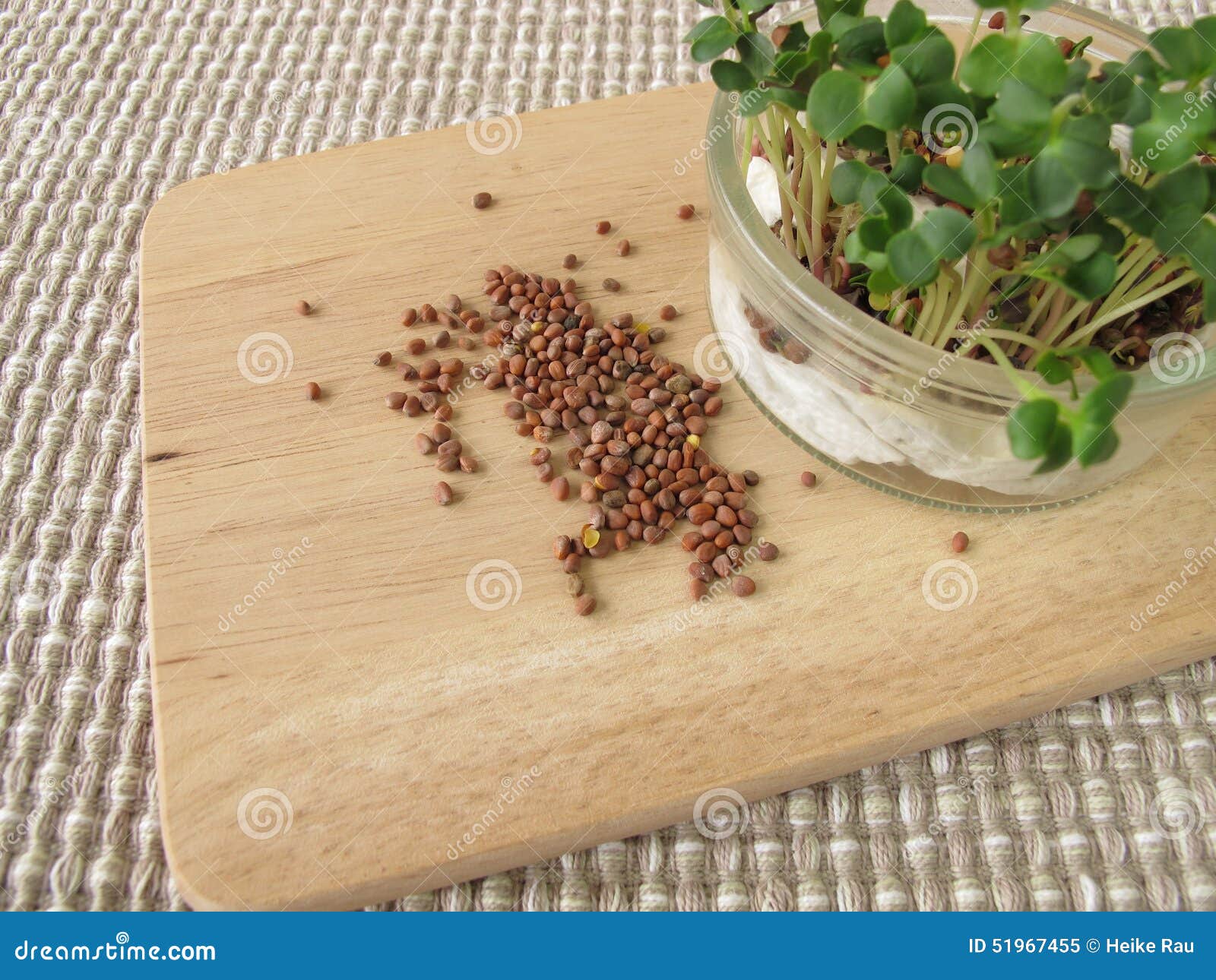 Germogli Di Ravanello Viola Microgreen Nella Tua Mano | Foto Premium - Foto 11