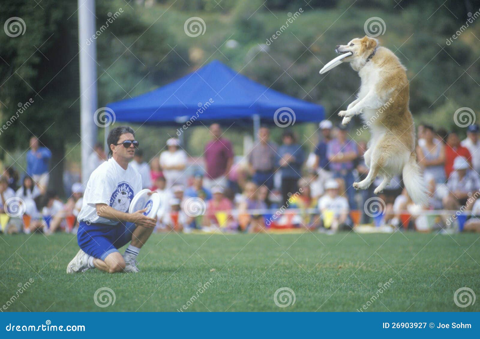 SemiFinals of Canine Frisbee Contest Editorial Photography Image of