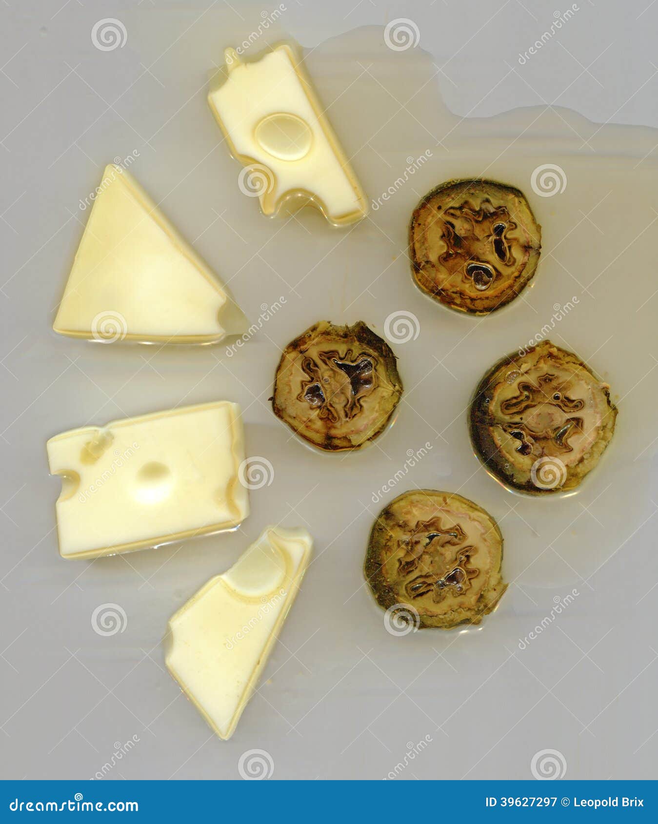 Semihard Cheese and Potted Black Nuts Stock Image Image of semisoft