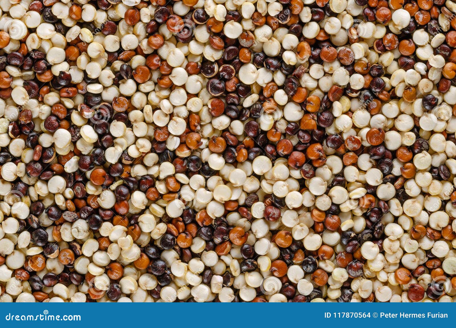 Semi Misti Della Quinoa, Macro Foto, Da Sopra Fotografia Stock Immagine di alimento, pianta